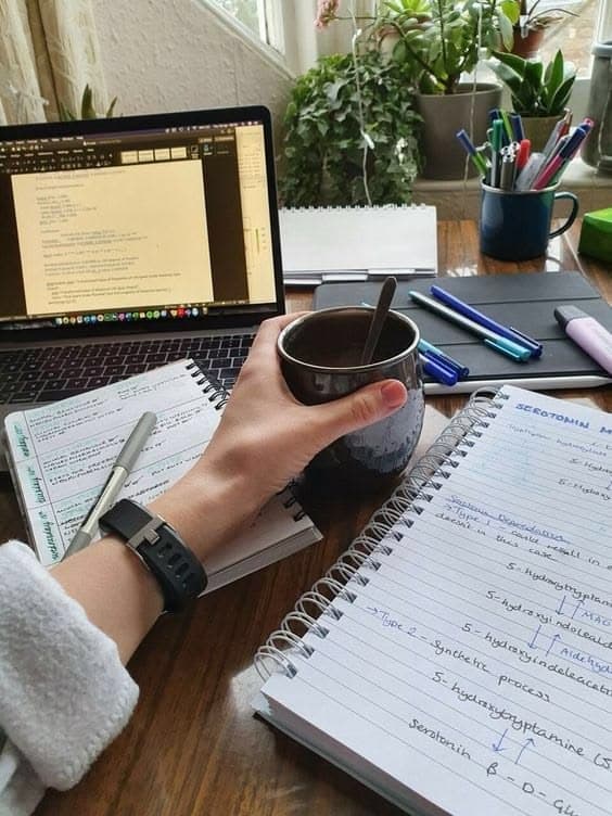 Workspace environment with structured planning notes